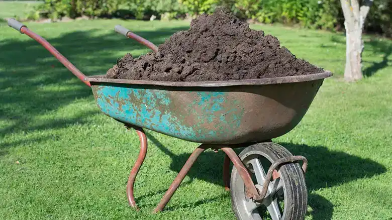 Can You Compost Sod