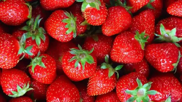 How to Check Strawberries for Bugs
